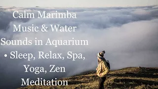 Calm Marimba Music & Water Sounds in Aquarium • Sleep, Relax, Spa, Yoga, Zen Meditation Relaxing