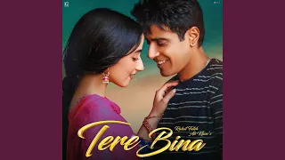 Tere Bina (from Lover)