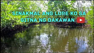 Sinakmal ang lure ko sa gitna ng bakawan [popper & floating pencil lures]