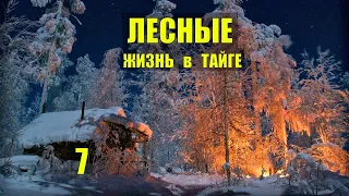 ДОРОГА в ЛЕСУ ЛЕСНЫЕ ЛЮДИ в ДЕРЕВНЕ ЛЕСОПОВАЛ РОМАН ЖИЗНЬ в ТАЙГЕ ИСТОРИИ из ЖИЗНИ в ЛЕСУ СЕРИАЛ 7