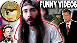 moiscr1tikal reacts to Random Funny Videos! #5