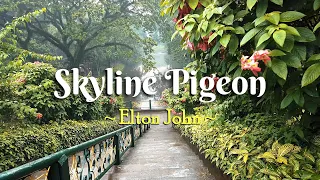 SKYLINE PIGEON - (4k Karaoke Version) - in the style of Elton John