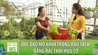 Độc đáo mô hình trồng rau sạch bằng rác thải hữu cơ | Làm nông trong phố | VTC16