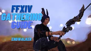 FFXIV - Gatherer Leveling Guide 1-90 Endwalker 6.08