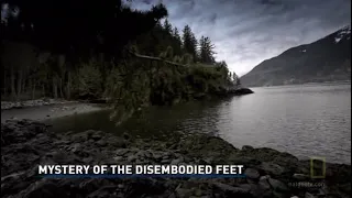 The Mystery of the Disembodied Feet (2009)