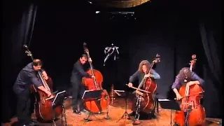 black cat white cat - bassgang... the best of the double bass