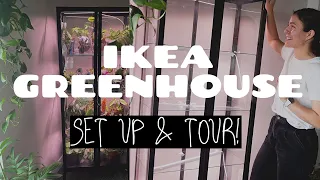 Houseplant Greenhouse Cabinet Set Up | Plant Greenhouse Tour! Plant Shelf Ikea Greenhouse Hack