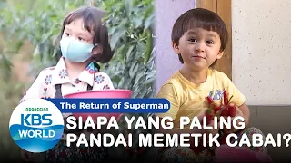 Siapa yang Paling Pandai Memetik Cabai?|The Return of Superman|SUB INDO|200927 Siaran KBS WORLD TV|