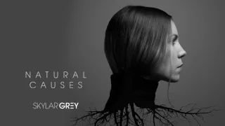 Skylar Grey - Kill For You (Audio)