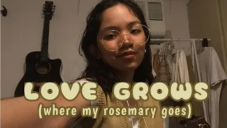 Love Grows (Where My Rosemary Goes) - Edison Lighthouse (cover)