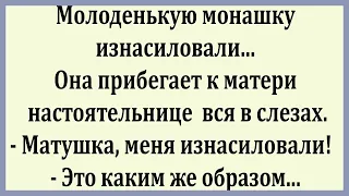 Молодая монашка прибегает вся в слезах...   Подборка  смешных анекдотов.