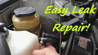 Power Steering Leak? Check this EASY FIX First