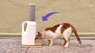 Como hacer un Comedero para Gatos Casero