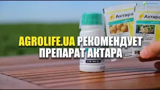 Актара Эффективный инсектицид: описание, характеристики, цена | Agrolife рекомендует