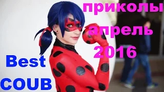 приколы апрель 2016 / подборка COUB за апрель 2016