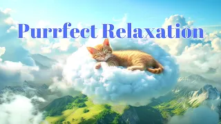 Purrfect Relaxation: beautiful, relaxing piano 😇😸healing, calming heart & blood vessels, and anxiety