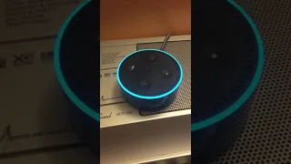 ALEXA ADMITS TO OTHERS LISTENING AND RECORDING US!!!!!!