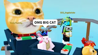 Stronk Cat Got Admin In Roblox Cart Ride