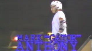 Gator does Kentucky | Vision Street Wear - Mondo Vision | '89