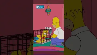 У БАРТА НОВЫЙ ДОМ 🐇😂 | Симпсоны | #симпсоны#simpsons#сериал#мультик