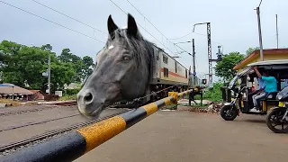 Dangerous Angry Mad HORSE Headed Jan Shatabdi express Furious Stormy Moving Out Railgate