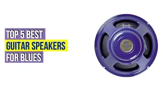 Top #5 Best Guitar Speakers For Blues Based On User Rating