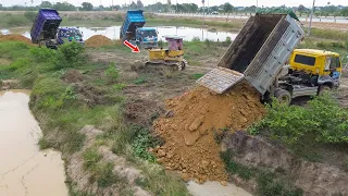 Opening New Fantastic Project Land refill by Bulldozer D31P Pushing soil with dump truck Unloading