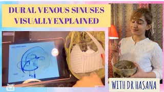 Dural Venous Sinuses | Concept in no time | Head and neck Anatomy