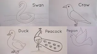 how to draw different types of bird's drawing easy step by step@DrawingTalent