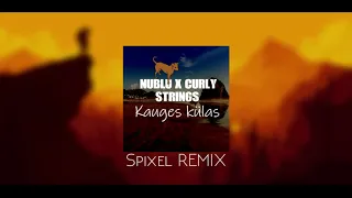 Curly Strings x NUBLU x Kauges külas (SOUNDMIX)