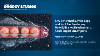 LNG Benchmarks, Price Caps & Joint Gas Purchasing: How the EU Market Could Impact LNG Imports