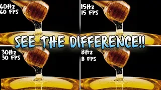 Difference in Framerates | 60FPS vs 30FPS vs15FPS vs 8FPS (Full HD)