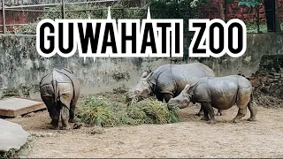 GUWAHATI ZOO | The Assam State Zoo and Botanical Garden 2022