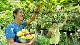 Millions Kita, Fast ROI sa Passion Fruit Farming + Value Adding!