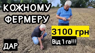 Фермери ДАРом отримають по 3100 грн/га! Від 1 га. Але не всі☝️ За корову дають 5300💪