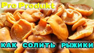 Как солить рыжики на зиму холодным способом