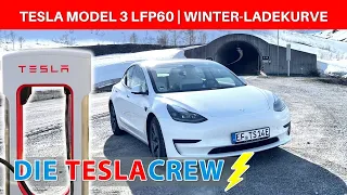 ⚡️ Tesla Model 3 LFP 60 | Winter-Ladekurve - Was war da los?