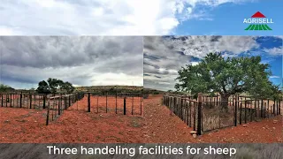 Small Kalahari farm for sale.