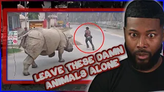 Y'all Leave These Animals Alone! Damn Nature You Scary | Funny Scary Animal Encounters 😱 | REACTION