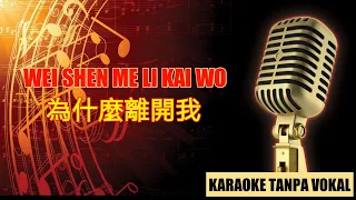 為什麼離開我 WEI SHEN ME LI KAI WO - KARAOKE TANPA VOKAL