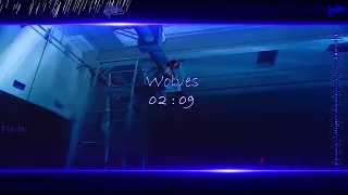 Selena Gomez & Marshmello - Wolves【Lyrics/Sub Esp】