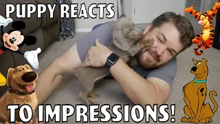 Doing Impressions for my Puppy