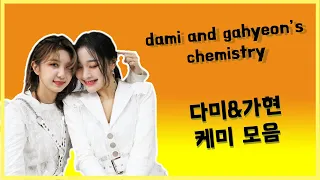 dami and gahyeon's chemistry 드림캐쳐 다미&가현 케미 모음 🐼🦊