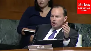 'Which One Is It?': Mike Lee Presses Judicial Nominee On How She Interprets The Constitution