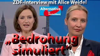 Wie Alice Weidel (AfD) auf anonym gehaltene Vorwürfe des ZDF reagiert