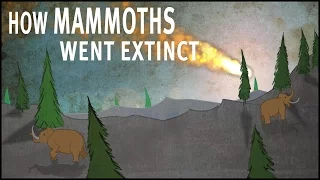 How Mammoths Went Extinct