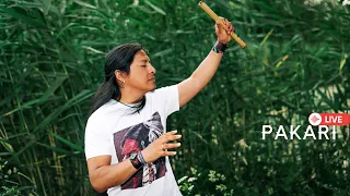 Pakari - Andean Live Music