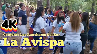 La Avispa Y La Bailamos La Del Conjunto Los Rancheros Del Sur