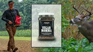 Domain Outdoor Sugar Mamma