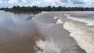 Pororoca 2024 em São Domingos do Capim - PA